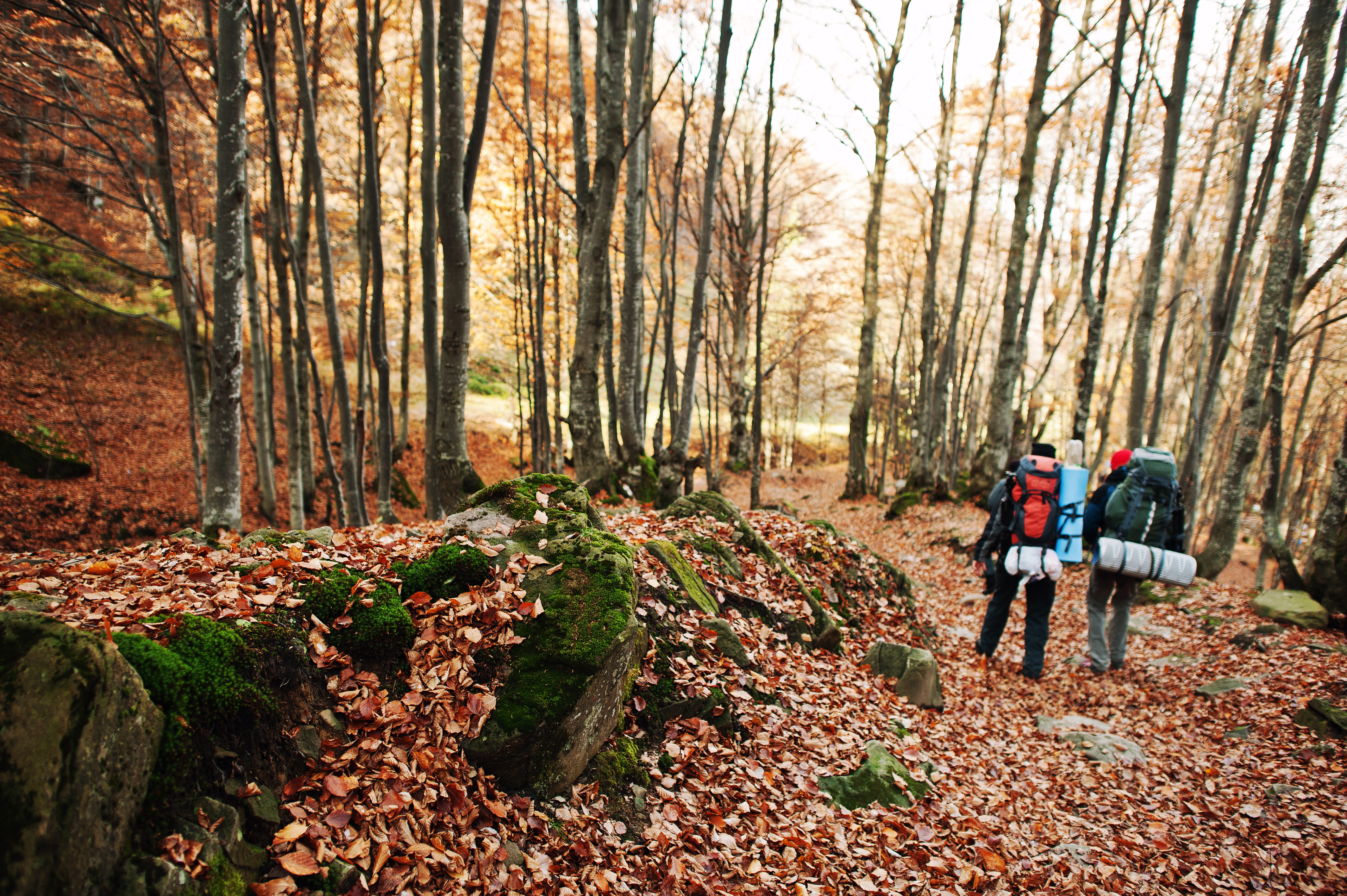 Wandern – Klösterle-Schleife & Premiumwege
