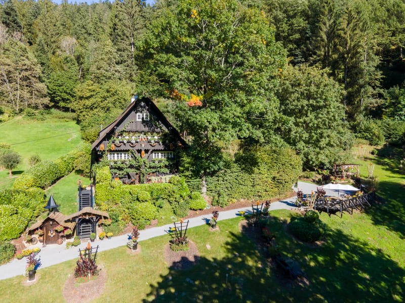Luftaufnahme von Haus und weitläufiger Parkanlage