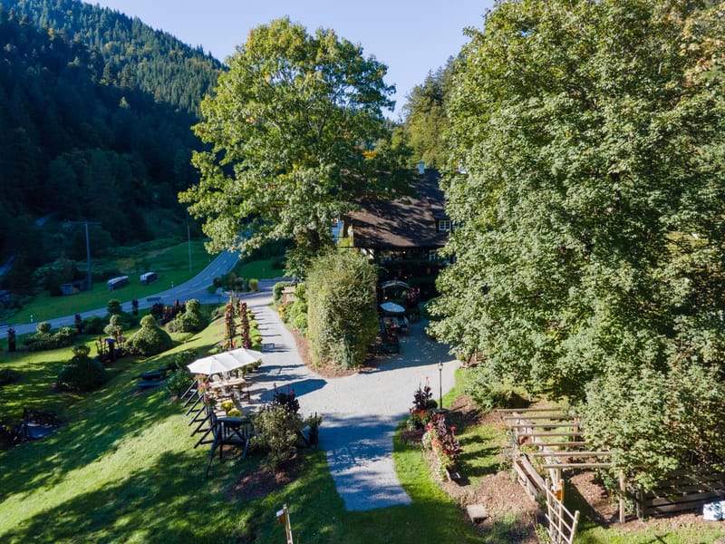 Luftaufnahme des Schwarzwaldhauses, umgeben von Wald