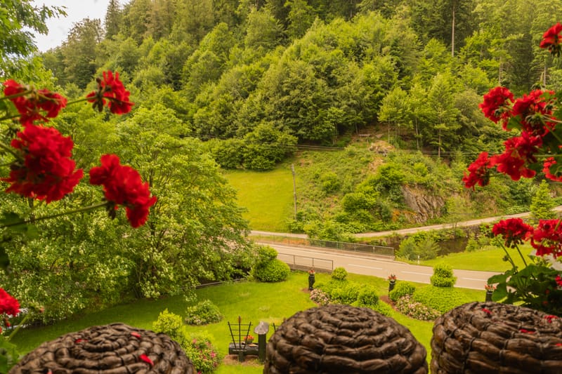 Luftbild der kunstvoll angelegten Gartenanlage