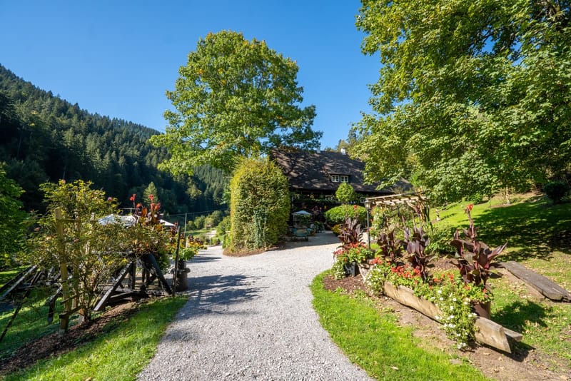 Gepflegter Gartenweg mit üppigem Blumenschmuck