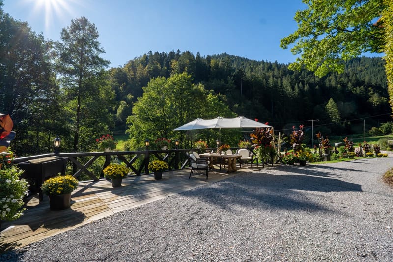 Biergarten mit Sonnenschirmen im Grünen