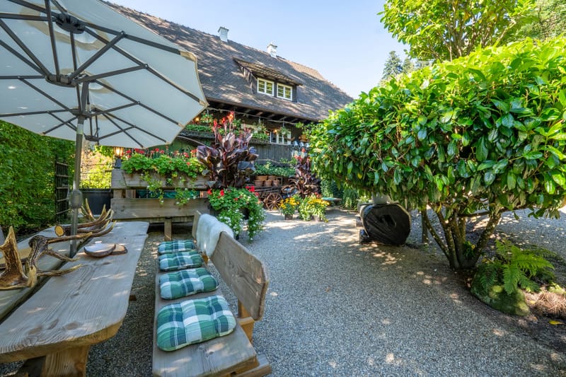 Überdachte Terrasse mit Blick in den Garten