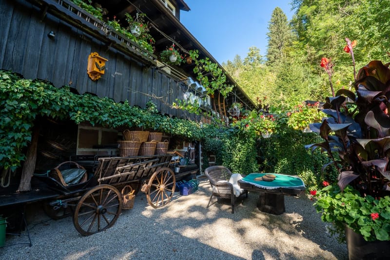 Innenhof mit historischer Kutsche und Blumen