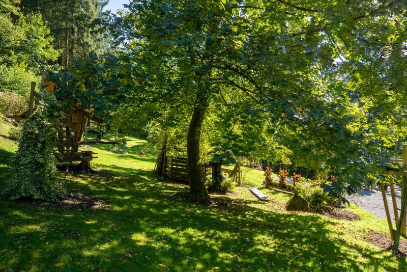 Schattiger Naturgarten mit altem Baumbestand