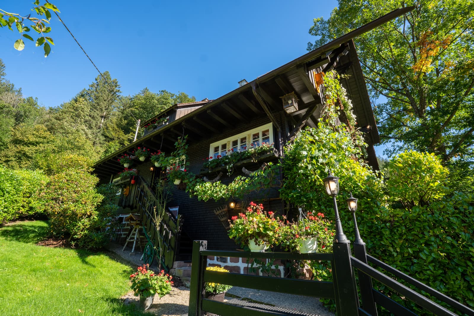 Flusslandschaft im Wolftal